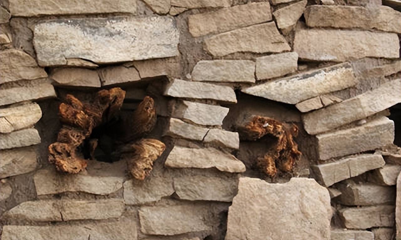 原创
石峁遗址中找到了几根朽木,专家说:这可是建筑史上重要的文物