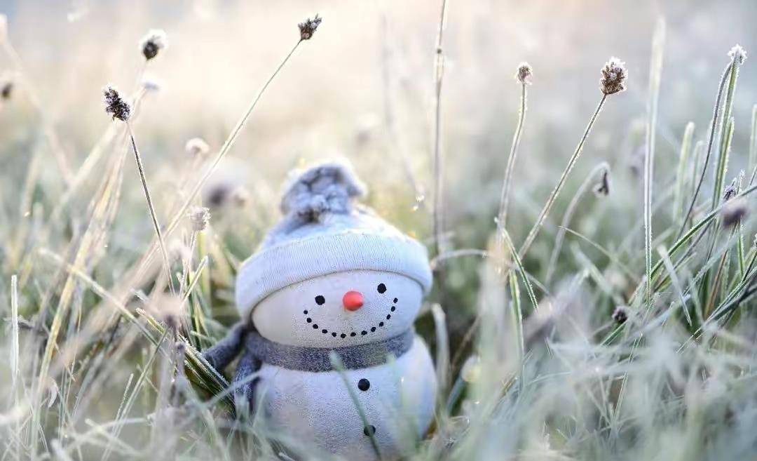 人生在世 逃不过一个 利 字 金钱和权利终是虚无 公司 亲戚 大爷 人生在世 逃不过一个 利 字 金钱和权利终是虚无 公司 亲戚 大爷