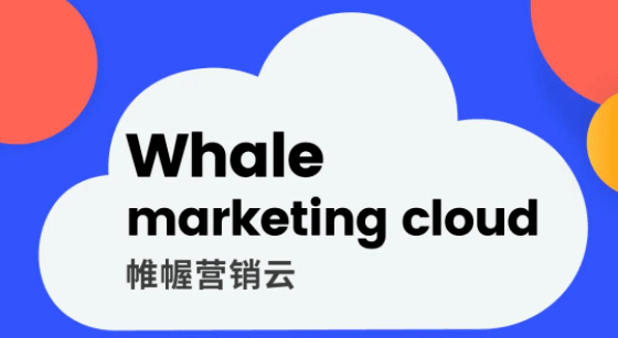 whale帷幄图片