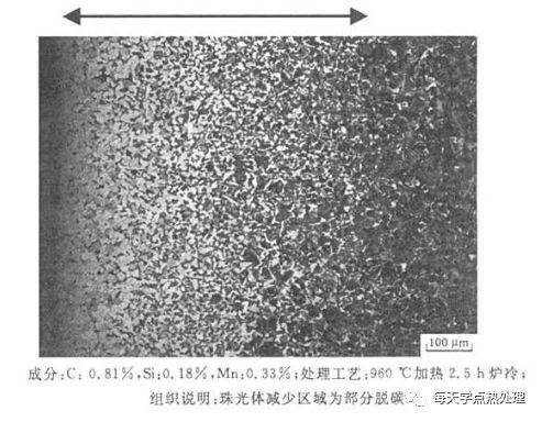 干货金相之脱碳