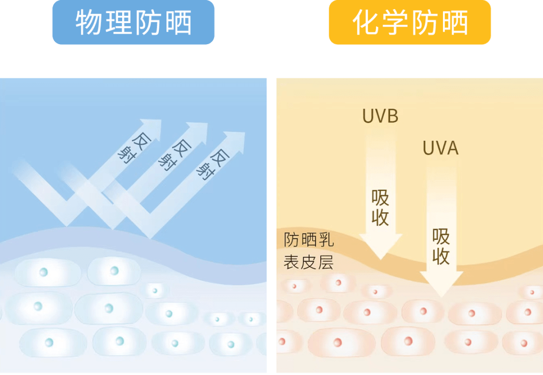 5,物理防晒90化学防晒区别在哪儿?