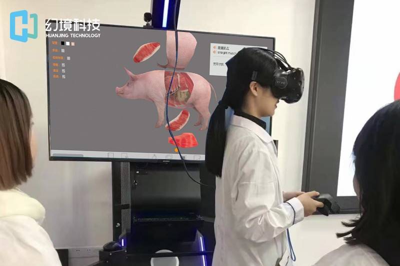 动物解剖虚拟仿真实验教学借助信息化技术推动畜牧兽医教育发展