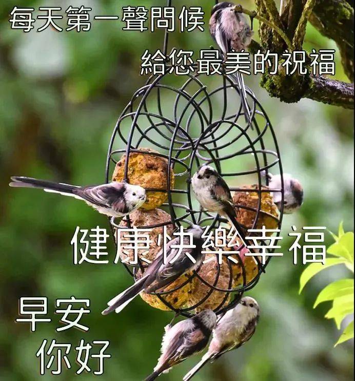 原创9张最有创意好看的早安早上好图片2022唯美春天早安问候祝福图片