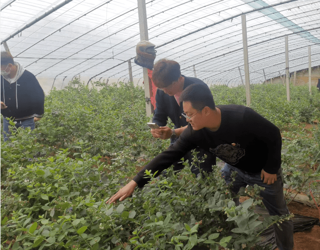 他立刻行動起來,藉助電商平臺,打造