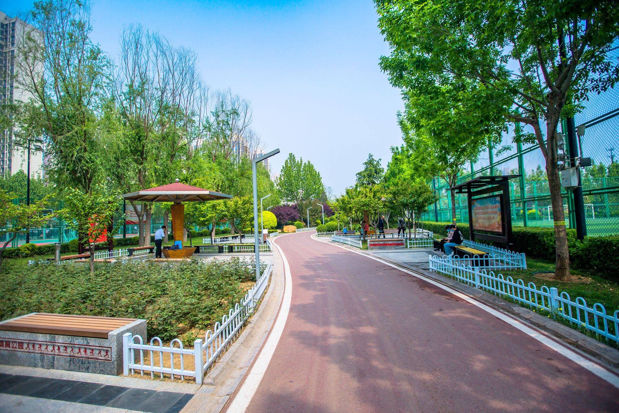 原创石家庄有一座体育公园免费开放此时木香花开吸引了众多游人