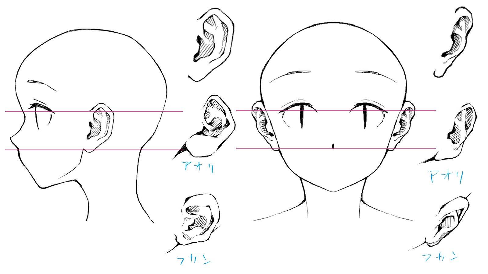 耳朵怎么画简单画法图片