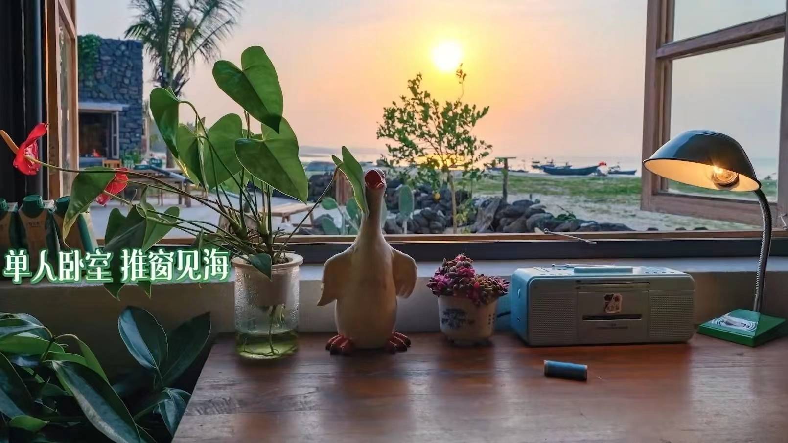原创太美了向往的生活6开播海边蘑菇屋揭开神秘面纱