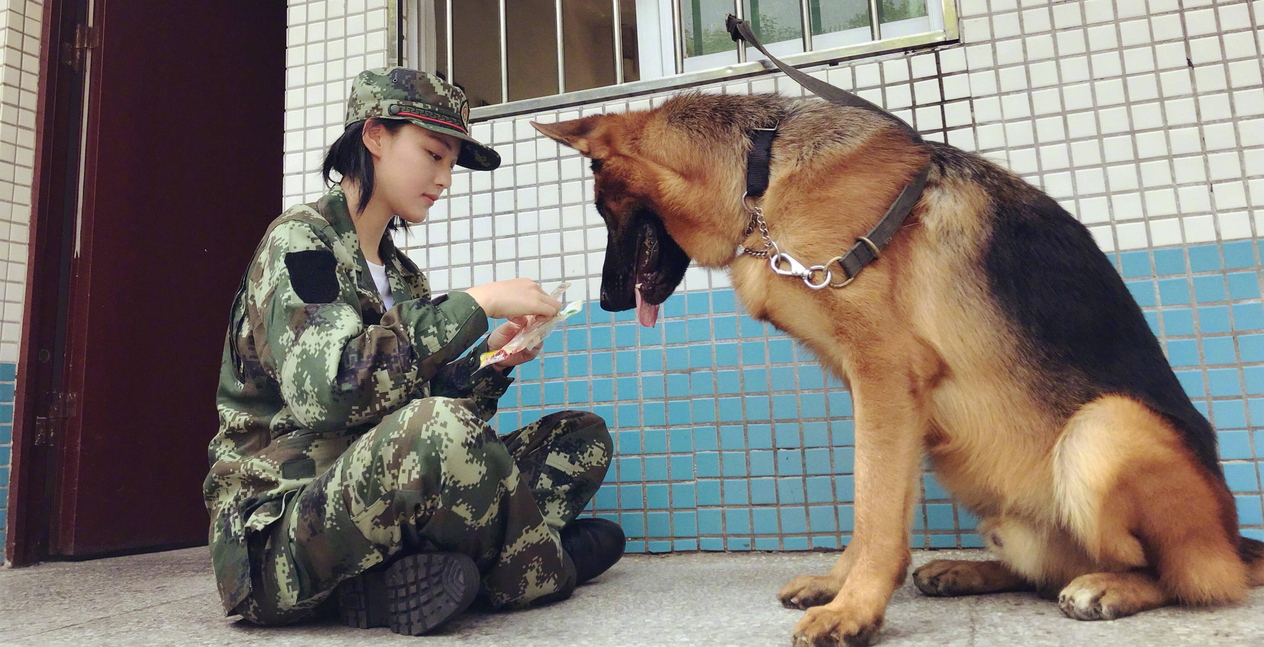 何捷是張馨予在節目中的教官,給張馨予剪頭髮,教她怎樣馴服警犬,在她