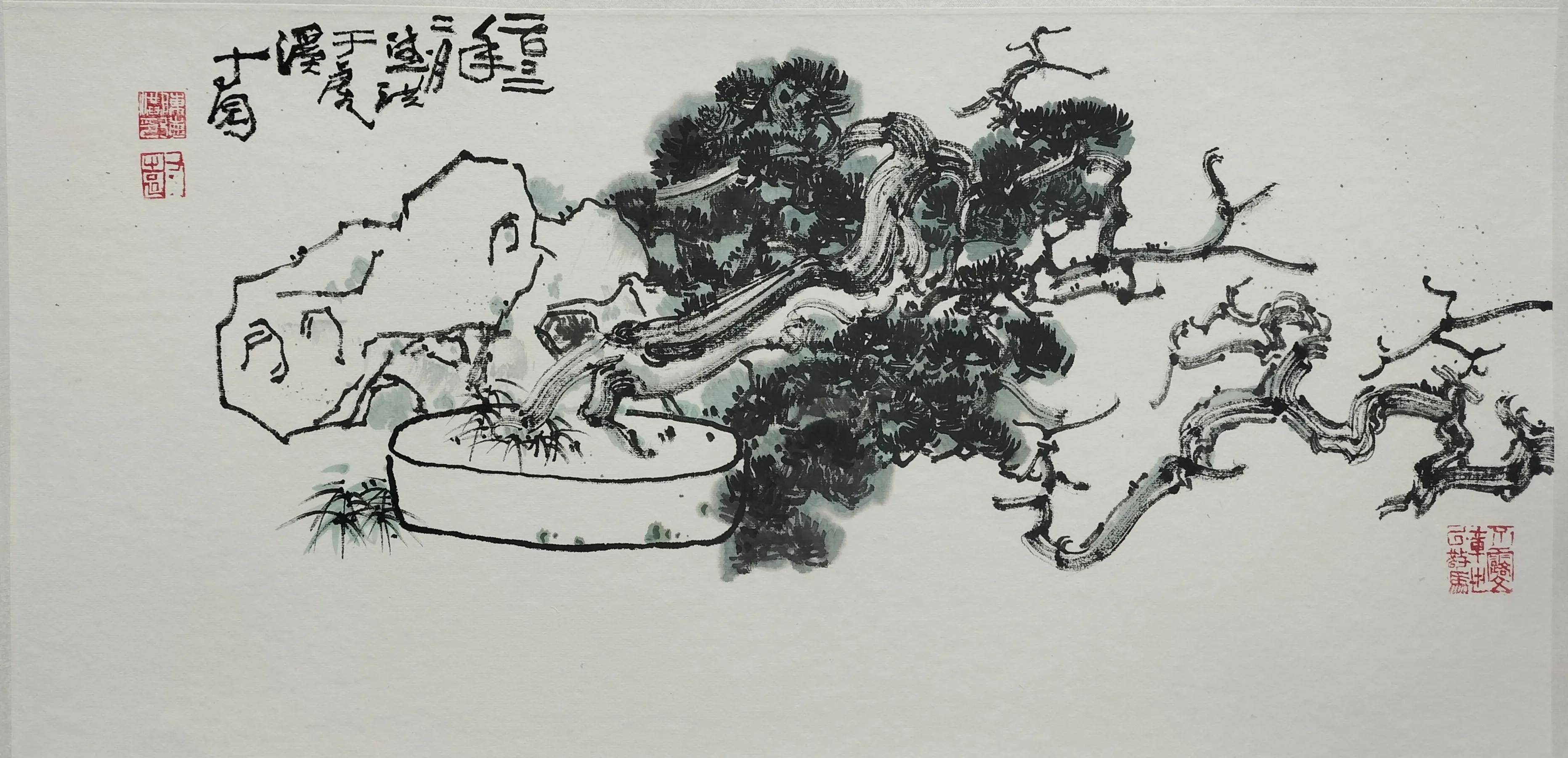 四川美院丨陈德洪水墨写生丨盆景小品一