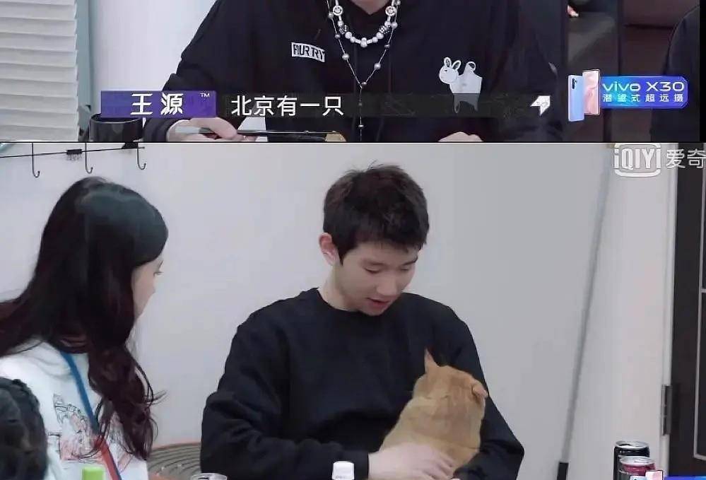原创董子健爆料王俊凯养猫却被凯源cp粉扒出王俊凯在帮王源养猫