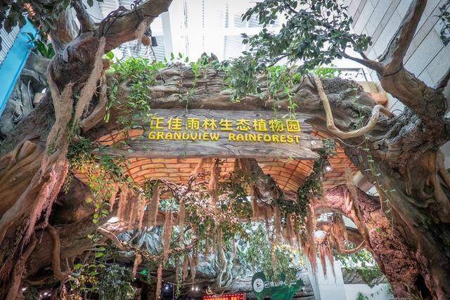 国内首家室内空中雨林生态植物园，开在广州市中心，比长隆还好玩
