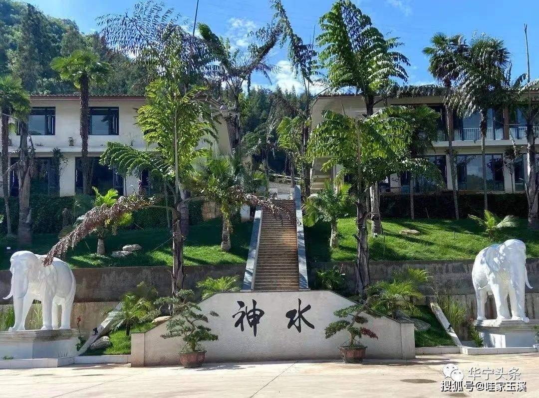 四季可浴温泉自象鼻岭下石壁间涌出地址:玉溪市华宁县象鼻温泉度假村