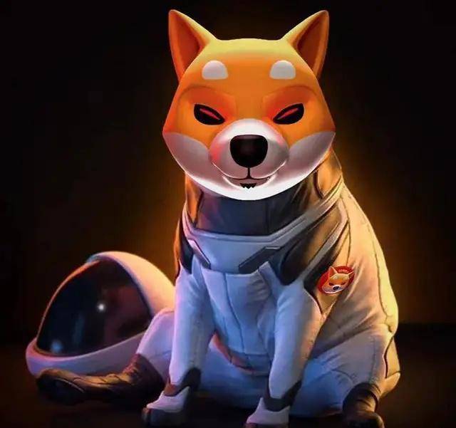 shib与泡沫,时间才是最重要的_柴犬_什么_时候