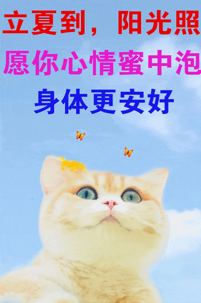 原创5月5日立夏最漂亮早上好动态表情图片大全早晨好动图美图大全