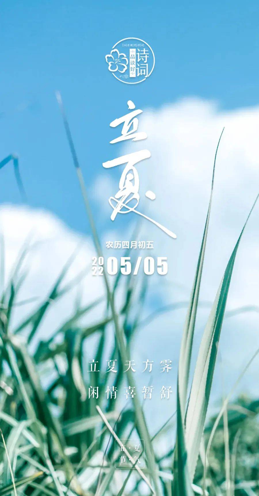 原创美文美图立夏万物生长迎夏而立迎接更好的自己