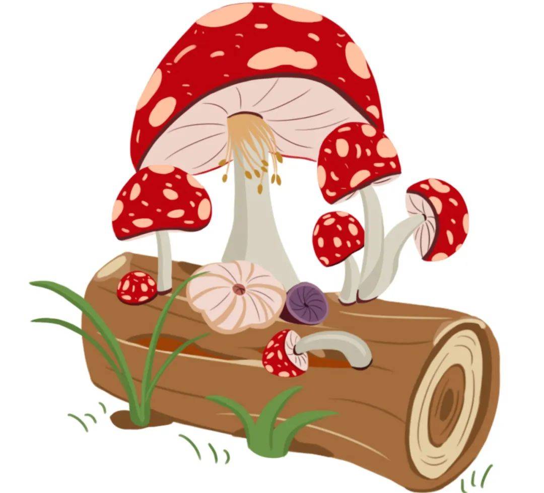 4-5岁简笔画作品 色彩蘑菇的画法图解教程💛巧艺网