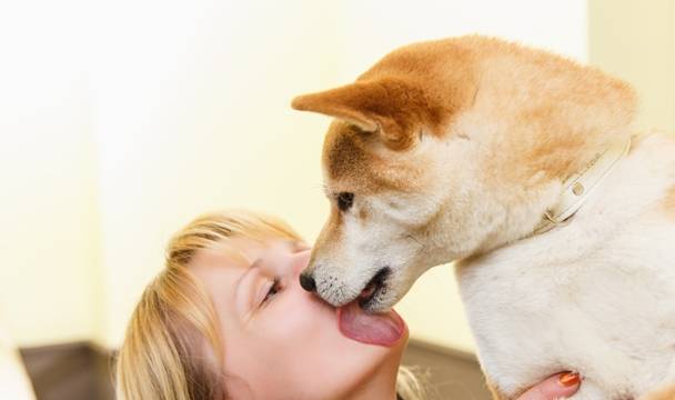 女子让爱犬舔伤口，昏迷数天醒来后，手脚被截肢，后悔也晚了