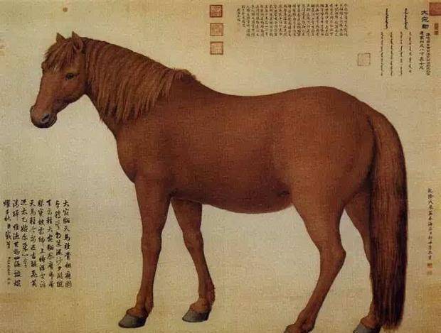李世民的著名马匹还有狮子骢,狮子骢的老家是波斯,是隋朝末年波斯人
