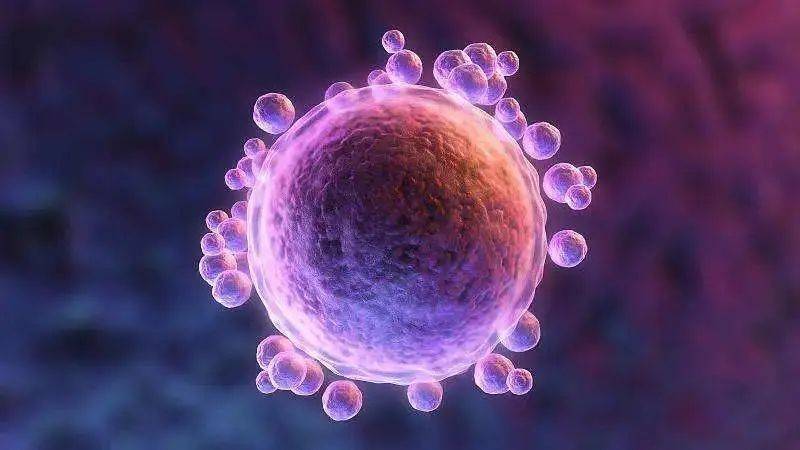 北联干细胞：干细胞能为我们的身体带来哪些变化？