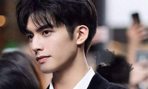 宋威龙学历太低了其个人资料什么学历