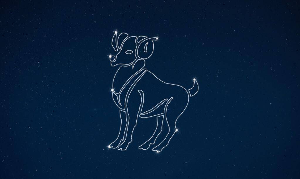 有狼性,一生骄傲,绝不委曲求全的星座!