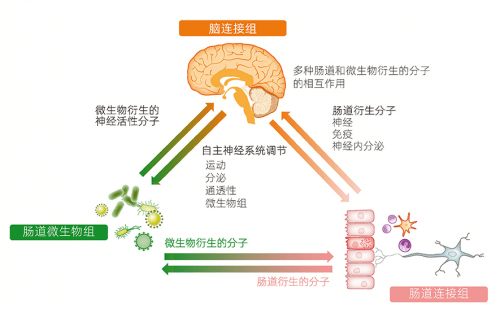 上藥信誼h5益生菌重磅發佈專注腦腸軸樂享好心情