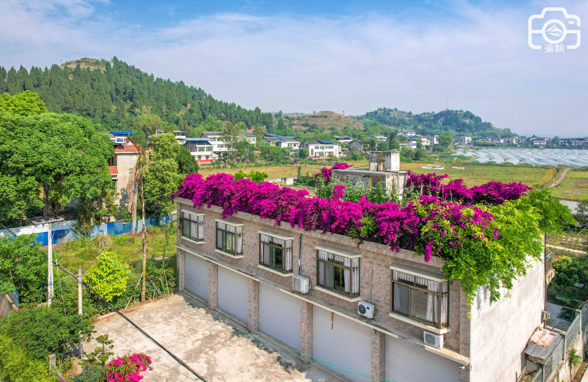 重庆潼南最美农家院，鲜花满院墙，楼顶是花园，或成小众网红景点