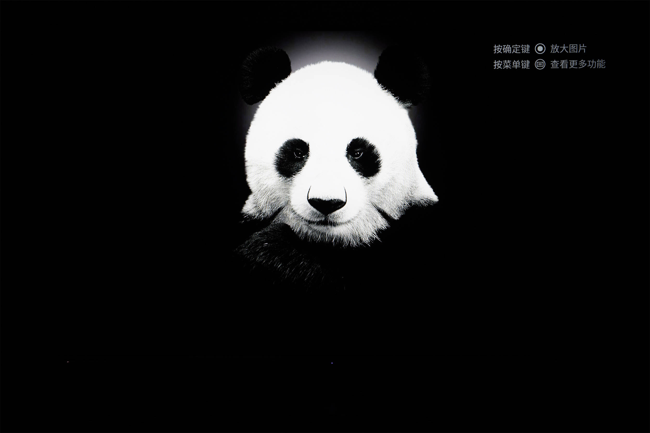 家庭的快乐中继站——海信原画旗舰电视e5h体验分享