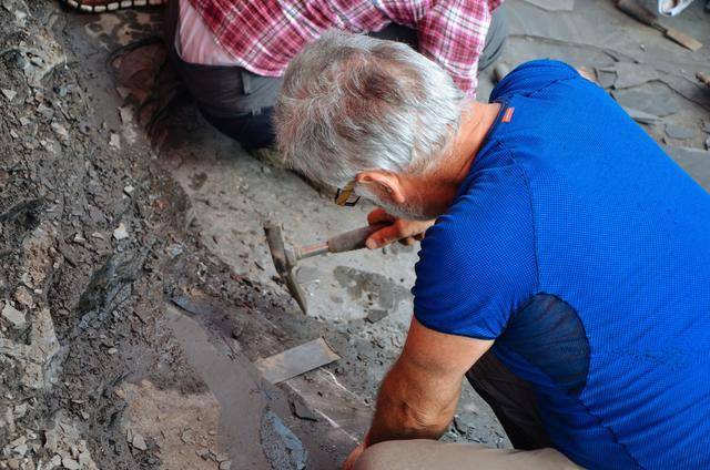 贵州恐龙发掘现场，随便捡起一块就是化石太震撼了