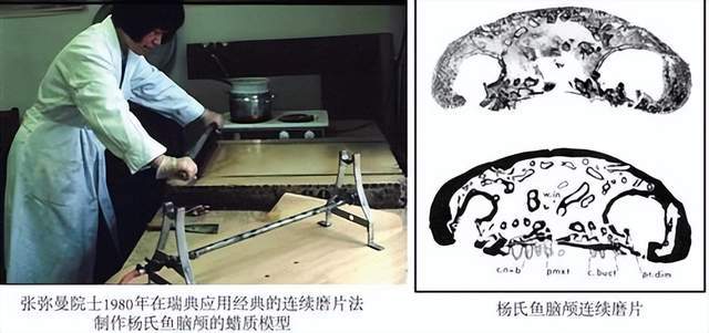 两个鼻孔穿绳子图片