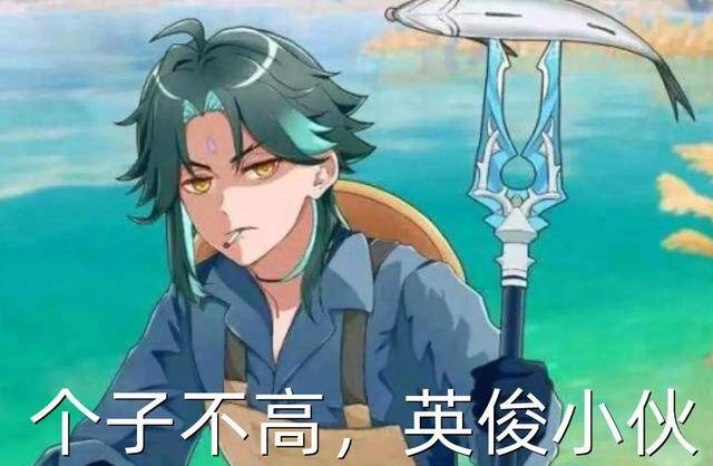 原神爆火的表情包你图库里有几张这个仇我算了不报了