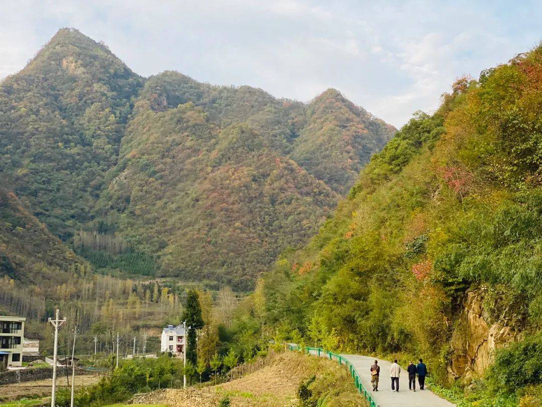 李四光命名的青峰斷裂帶雲山霧海,是這裡最大的特色活的山水畫最適合