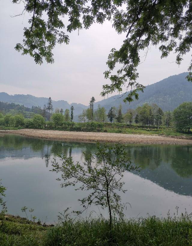 “雨里鸡鸣一两家，竹溪村路板桥斜”，风光无限的新安江源头