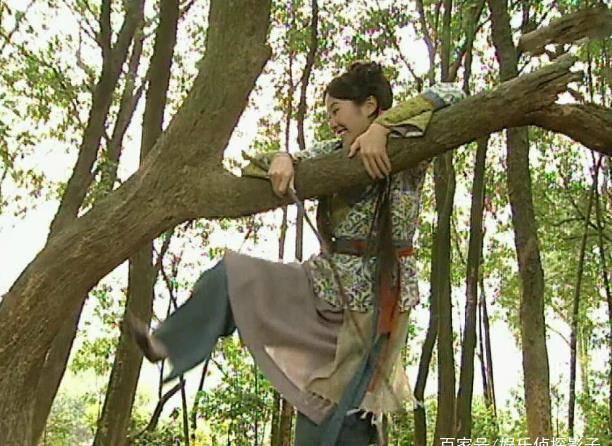 爬上树的古装女子，王艳呆萌、舒畅真实、叶璇孩子气、而她最顽皮
