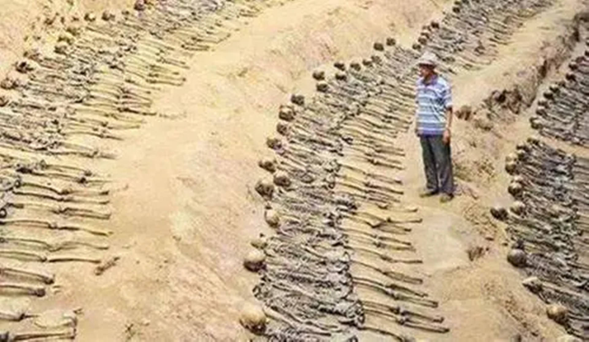 2012年，广东水底发现多具女性骸骨，调查后揭开一段残酷的历史_张松_潜水_水面