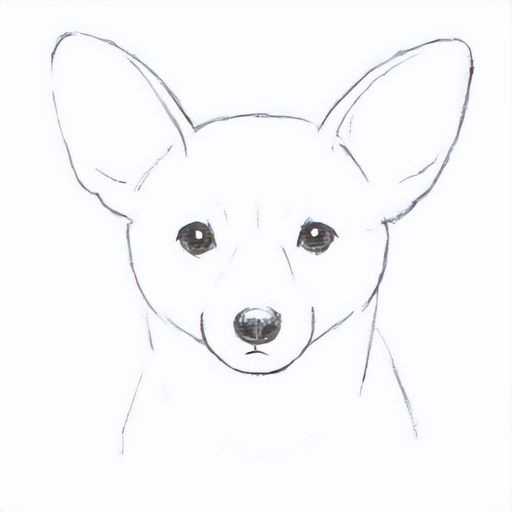 动物面部表情怎么画教你小狗各种表情画法技巧