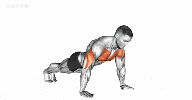 最全面的俯卧撑教程,最清晰的动图演示!_胸部_身体_肌肉