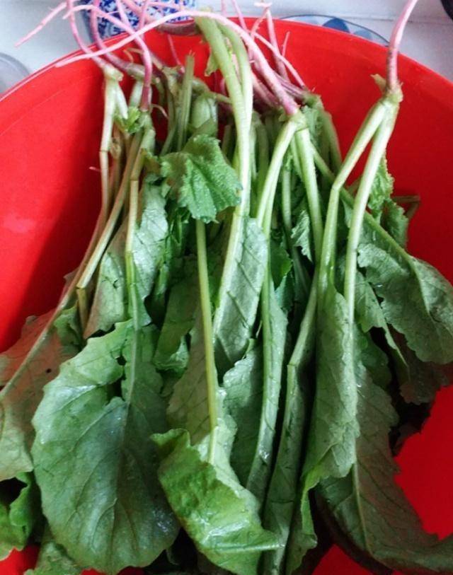 皮肤水汪汪,1冬不显老_五花肉_萝卜_小厨