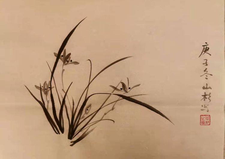 安君康写意兰草网络教学班第九期招生简章