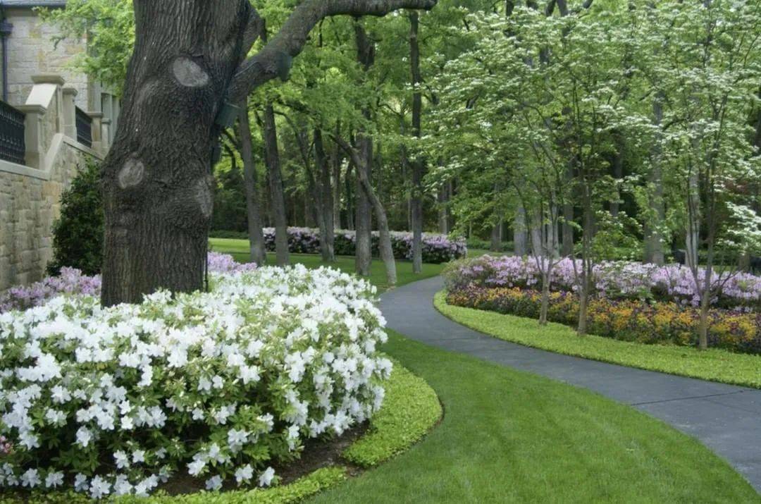 城市可持续生态发展的重要主题——绿景_绿化_植物_空间