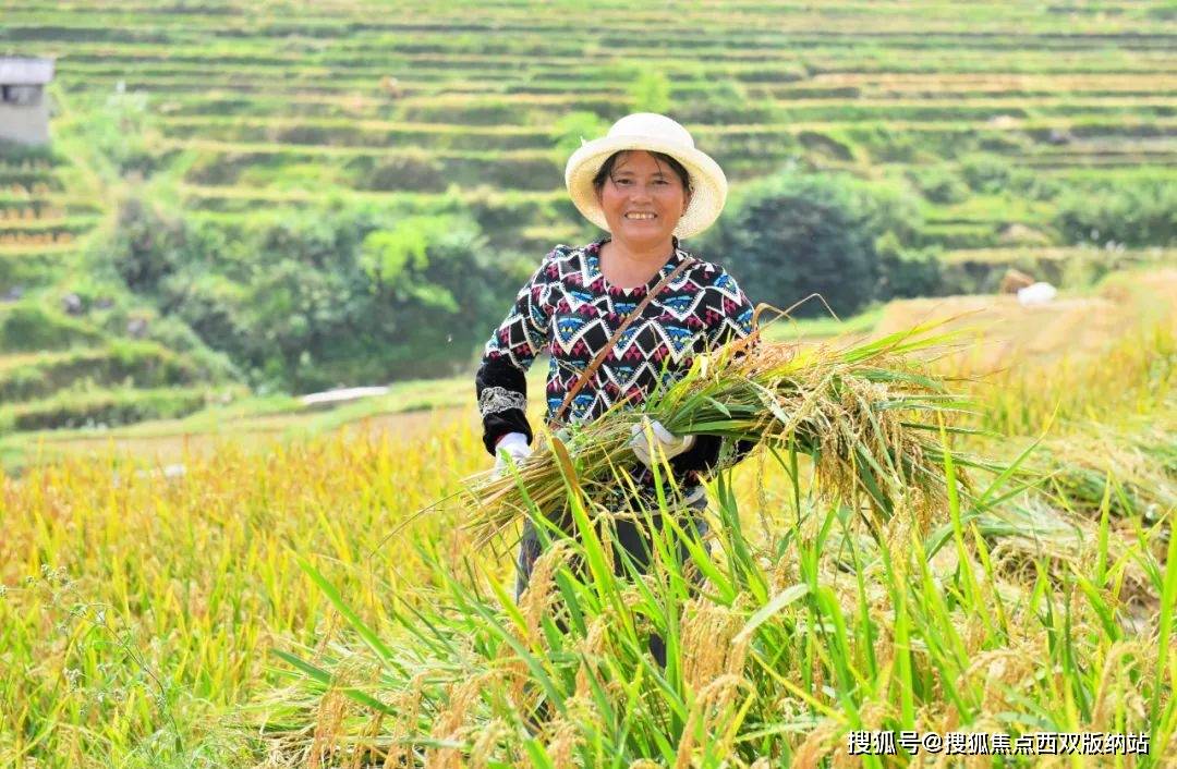 云南脱贫县农村居民收入又增加啦