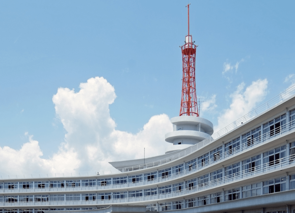 东海大学合格分享 | 疫情线上备考,在赴日前成功上岸_日本_楼同学_专