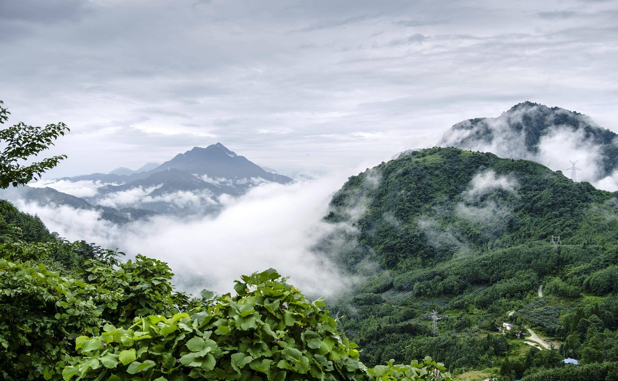 四川成都附近仙气最足的山，被誉为道教圣地，是避暑的天然氧吧