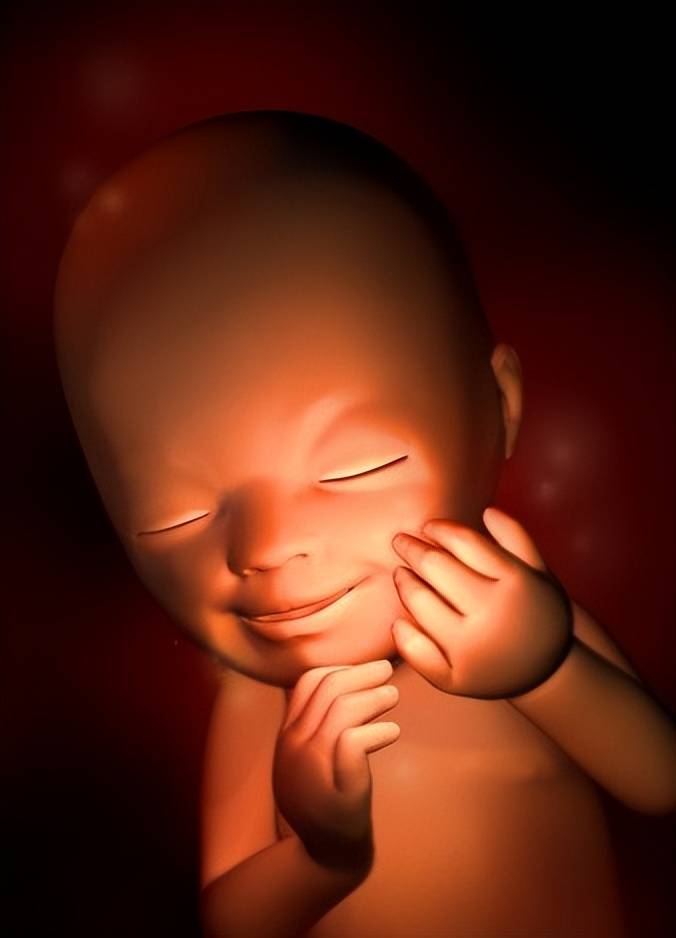 怀孕1-40周,胎儿发育过程彩色3d图!_胚胎_身长_器官