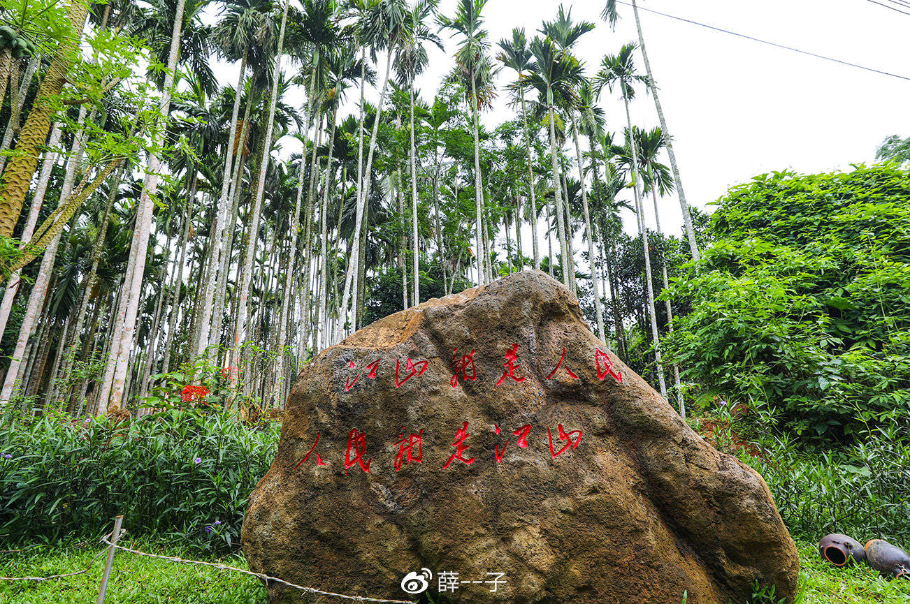 攻略海南环岛自驾游打卡各种美食和小众目的地