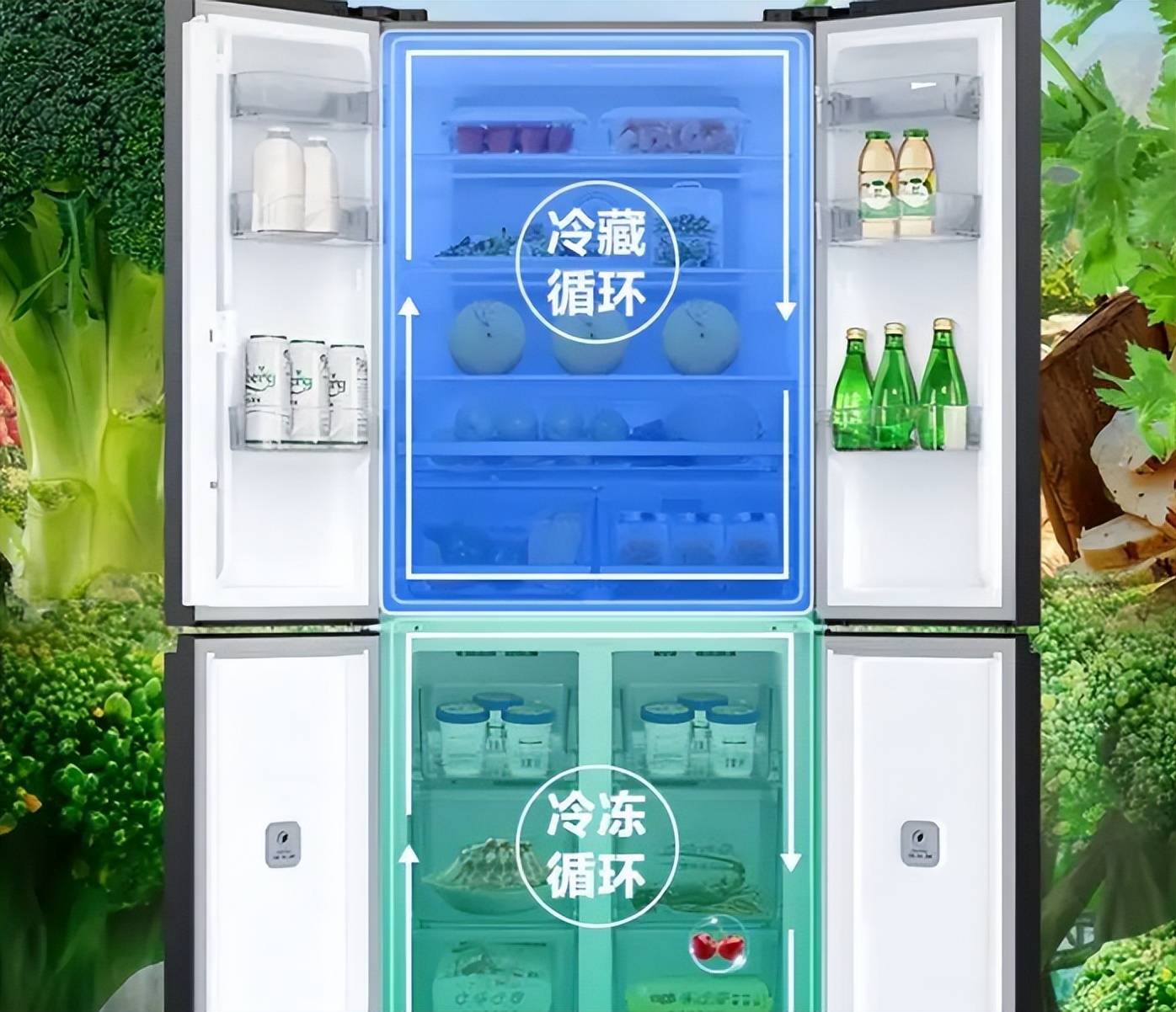 单循环冰箱主要是为了降低成本,冷藏室和冷冻室共用一个制冷循环系统