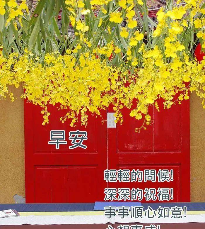 超漂亮的早上好问候带字祝福语图片,最新版早上好表情图片_人生_生命