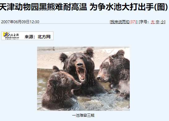 原创天津动物园黑熊疑似出问题工作人员打捞毫无反应