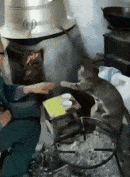 ��ЦGIFȤͼ���⺢�����Ǳ�֩��ҧ����