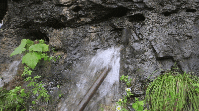 400_224gif 动态图 动图